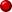 bulletred.gif (888 bytes)